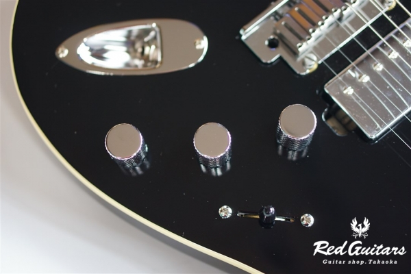 Modern Strat RW HH